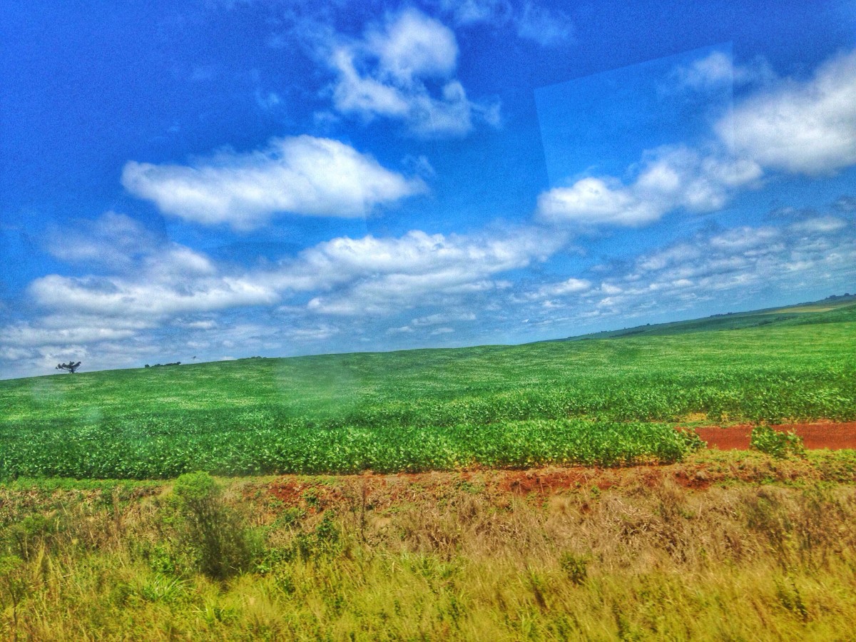 Paisagem no caminho para Uruguaiana